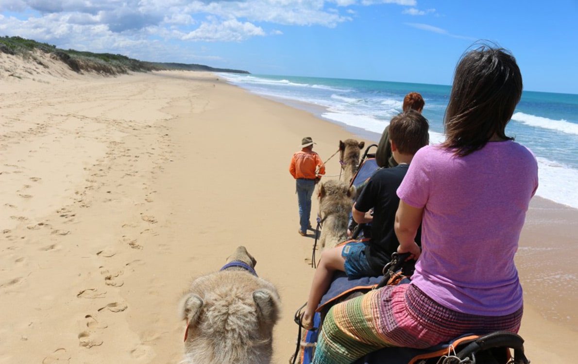 lakesentrancecamelrides-1